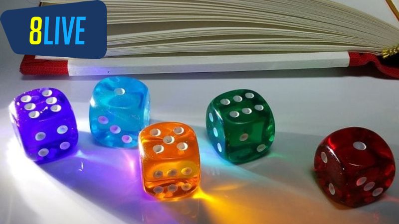 Những yếu tố cần xem xét khi chọn nhà cái