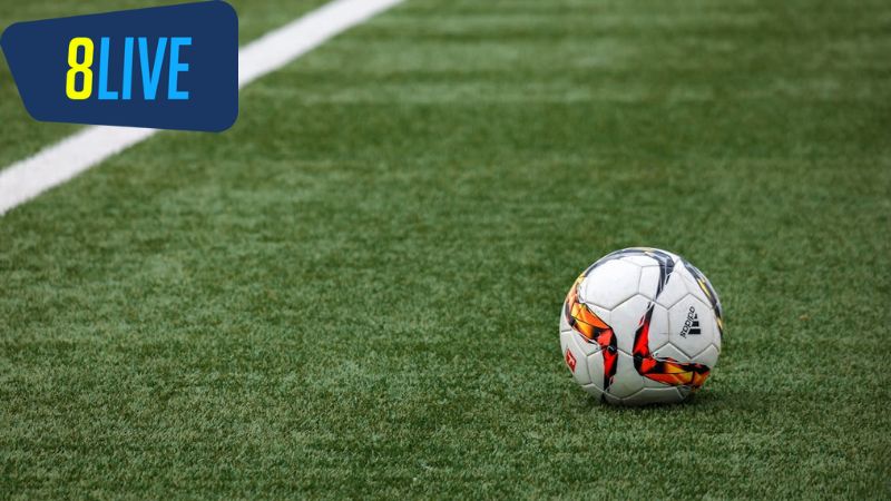 Tầm Quan Trọng Của Dữ Liệu Thống Kê